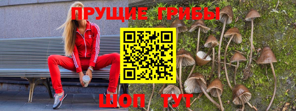 Галлюциногенные грибы мухоморы Лангепас